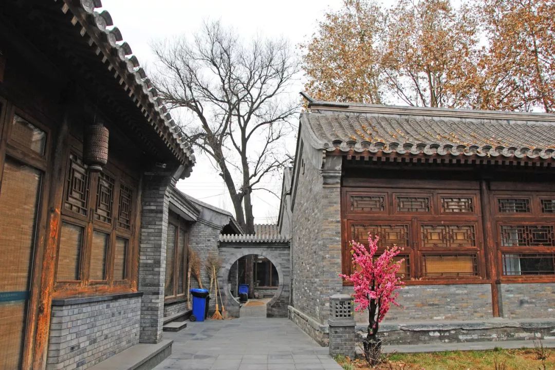 一日游重庆火锅去哪吃,旅行火锅吃法大全