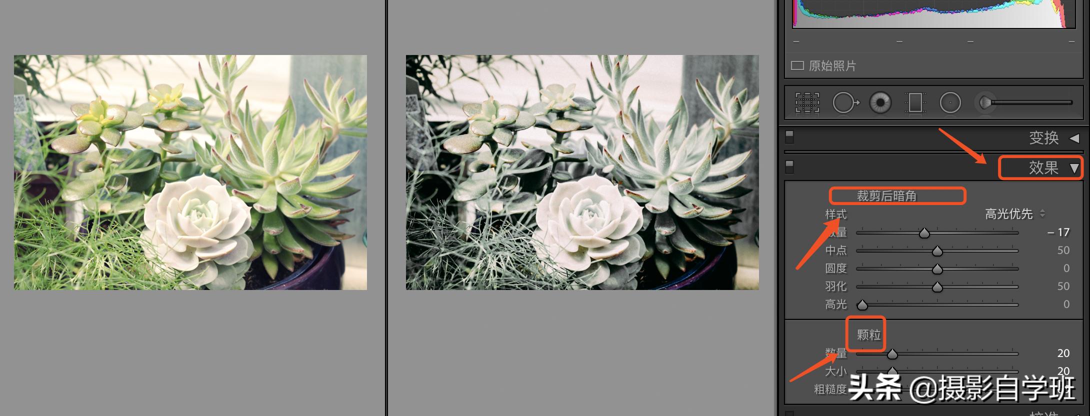 风景照片调色教程lr调色思路,lr修图红色怎么调成青色