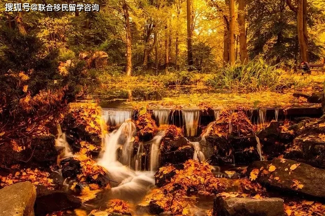 波兰工签近期通过率,波兰工签工作