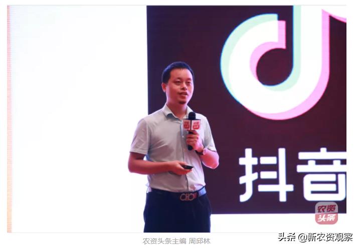 海南哈密瓜大市场,海南哈密瓜市场前景