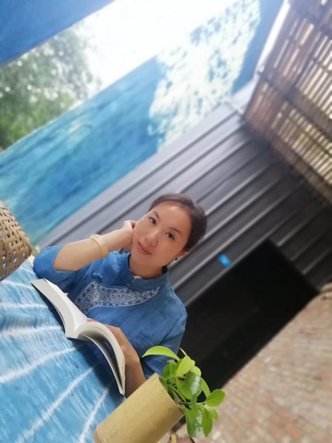 农村创业种植折耳根,折耳根板蓝根