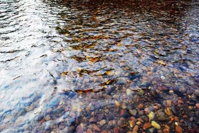 6月份去武夷山的旅游的攻略,厦门到武夷山自助旅游攻略路线
