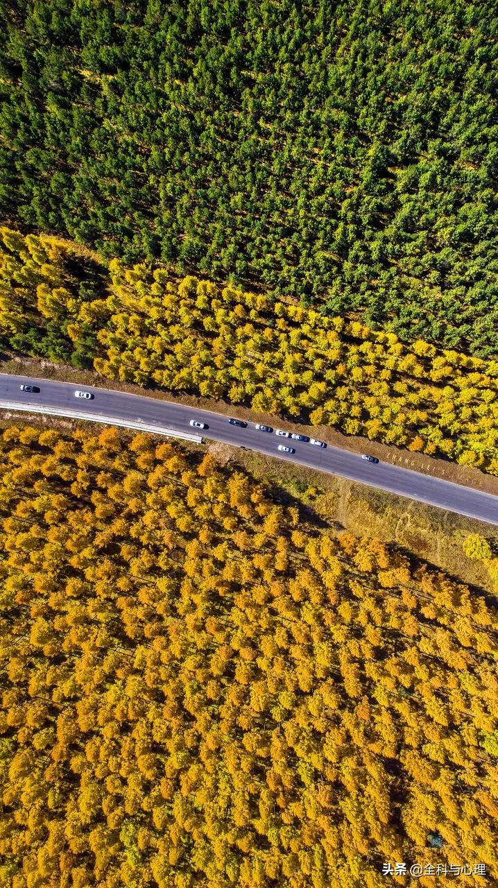 最美旅行地推荐,上半年国内最佳旅行地推荐