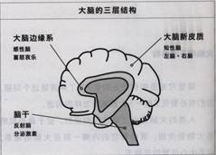阅读错觉,书评过程比结果更重要
