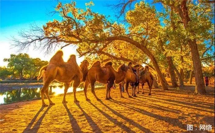 今天，推荐 5 个值得去的地方！