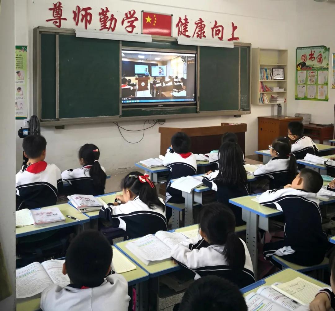 警花带你学交规哪4个时间要记住,警花带你学交规上学请走斑马线