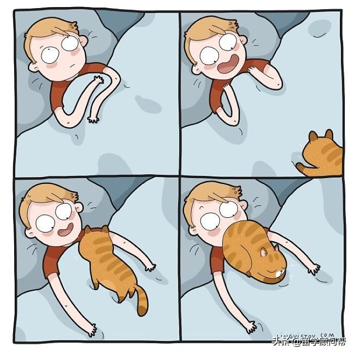 猫主子的日常暹罗猫铲屎官的乐趣,猫吸猫主子的日常