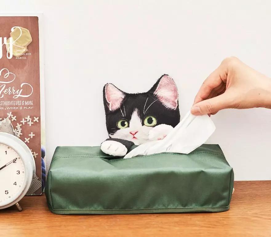 日本人又来骗猫奴们的钱啦！但我心甘情愿掏钱了！