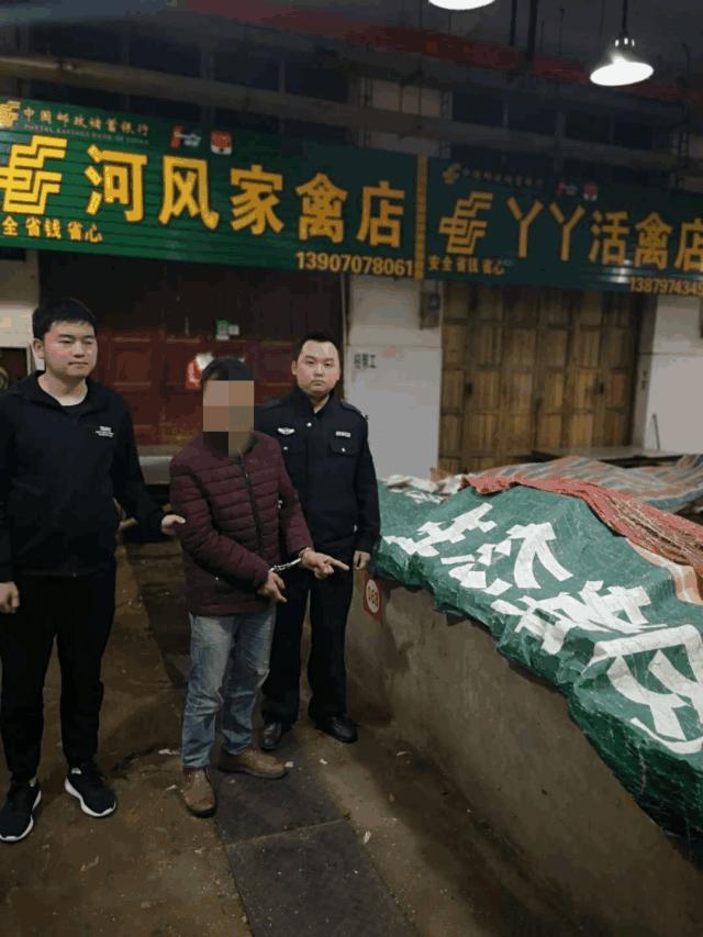 赣县惊现“真人版偷菜”,雌雄双盗凉凉落网