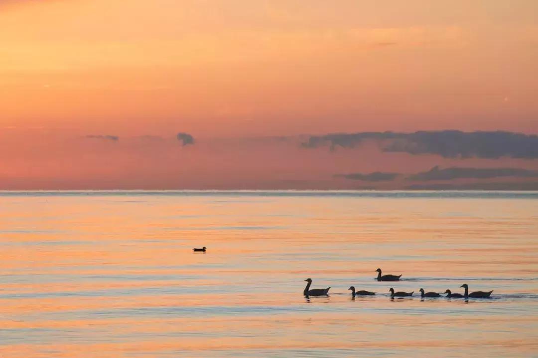 一读就错的50个成语你来挑战吗,最容易被用错的120个成语分类辨析