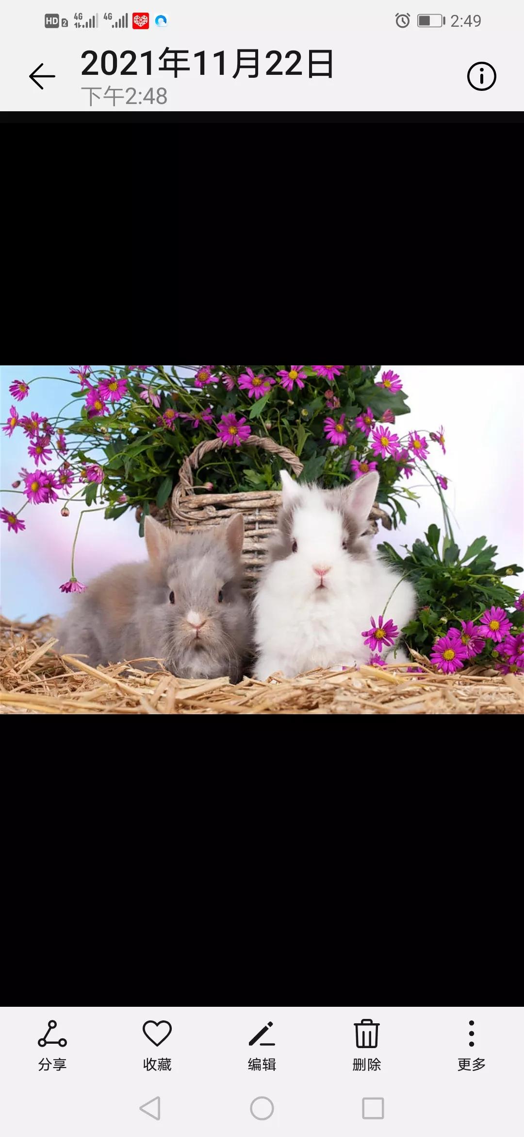 图库怎么编辑九宫格,图库九宫格图片怎么做