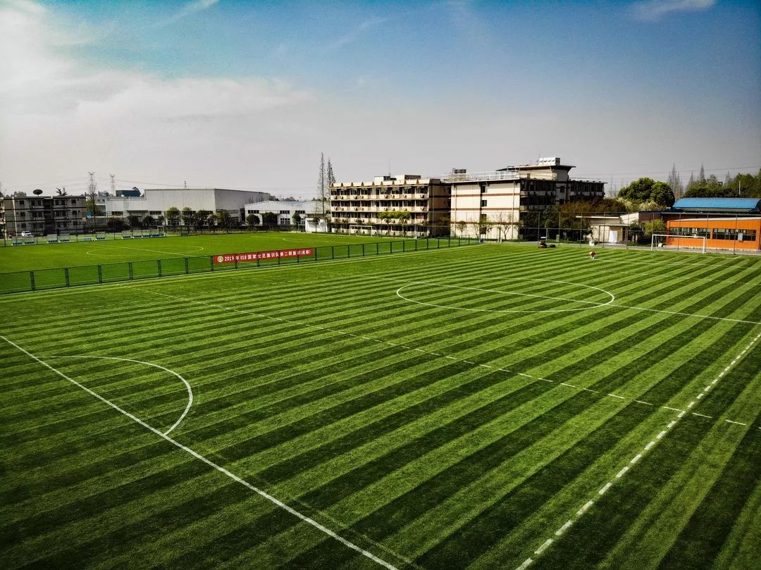 2023年熊猫夏令营,2019熊猫夏令营