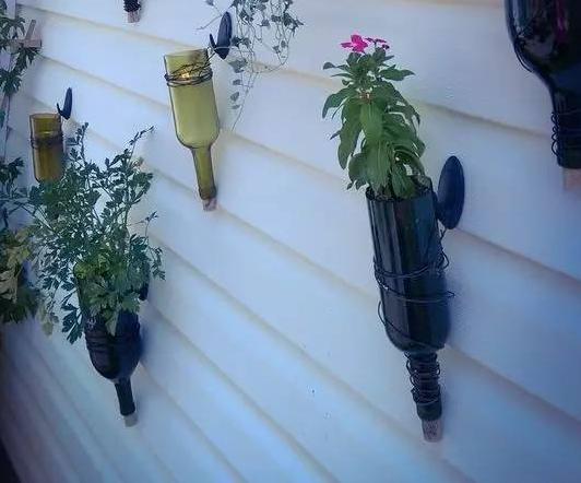 买的花没有花瓶怎么办,买了鲜花没有花瓶怎么办