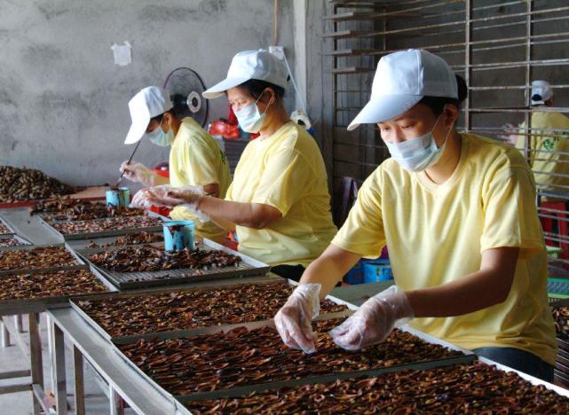 槟榔产业医疗负担远超经济效益,槟榔产业目前已近千亿产值