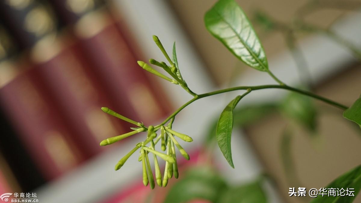 疫情下的城市生活纪录片,西安疫情每天新增记录图