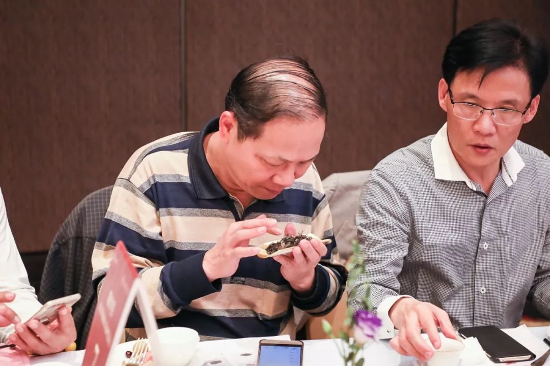 福鼎老白茶白牡丹正宗明前,老白茶白毫银针白牡丹