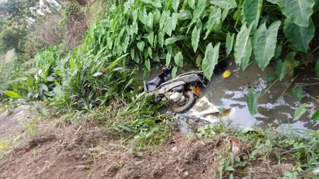 往前开,往鱼塘开!8年驾龄老司机的“翻车”过程
