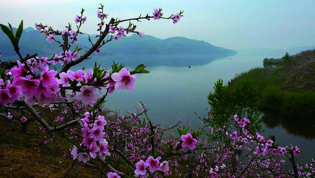 沈阳10月新闻,2018年12月11日沈阳新闻