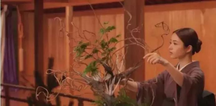 指间自由花艺，为己而生的匠心|匠人采访