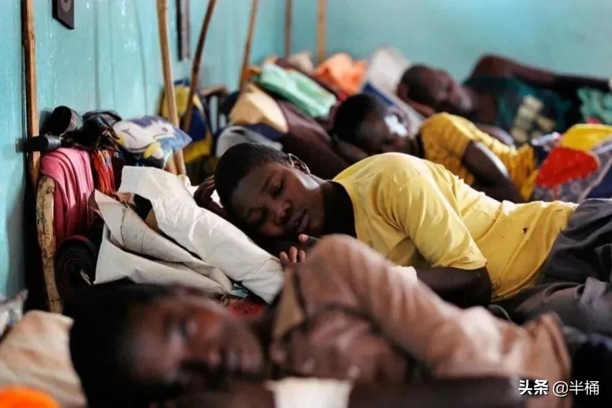 人被它咬会昏睡至死，非洲因它而贫穷，采采蝇究竟是何方神圣？