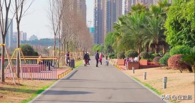 牛！这样的伍家岗，你怎能不爱