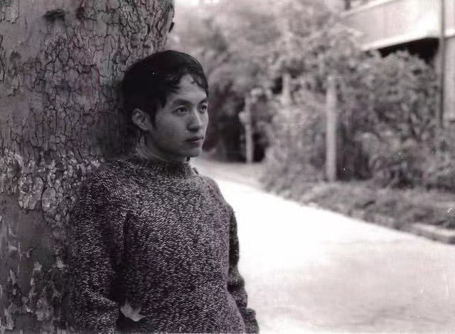 顾城杀妻案真相揭秘,顾城1993年杀妻案