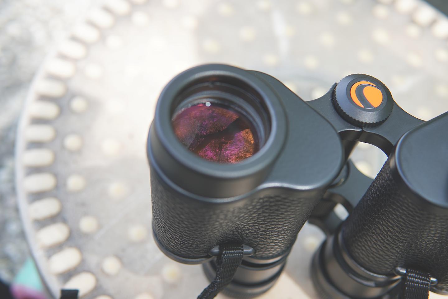 给孩子一双慧眼,星特朗dx10x50双筒望远镜怎么样