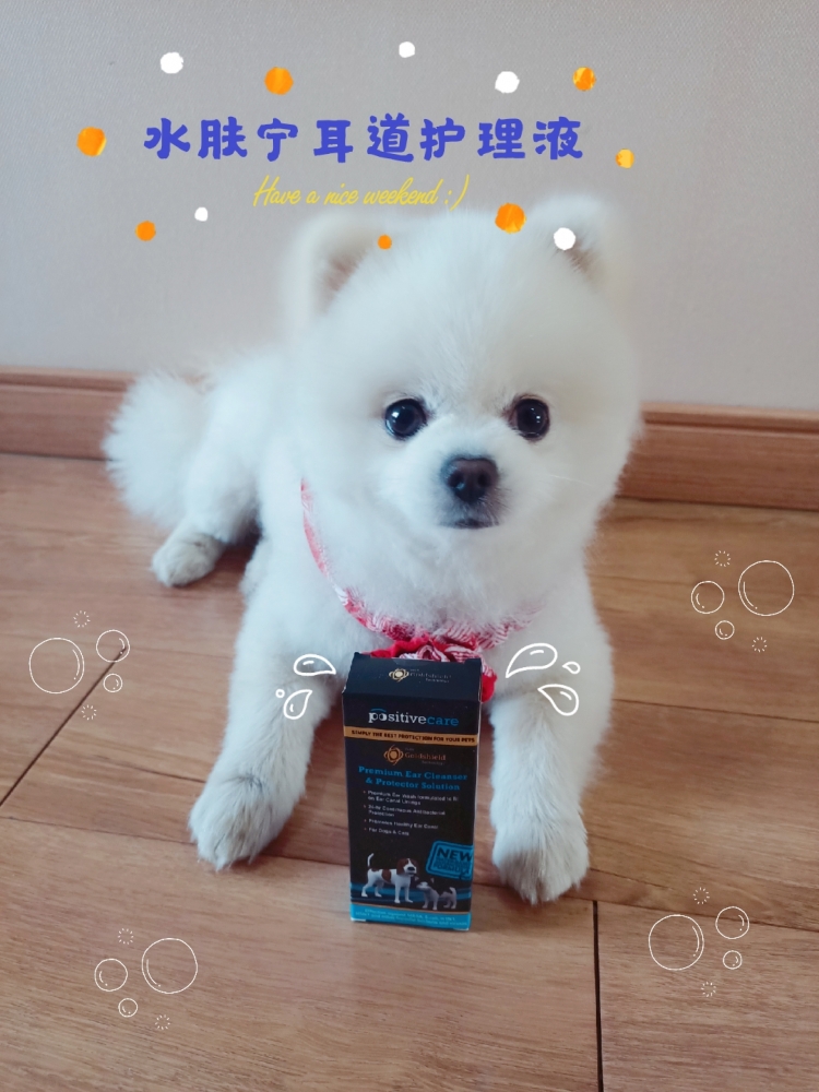 宠物耳道清洁用什么牌子,宠物耳道清洗液推荐