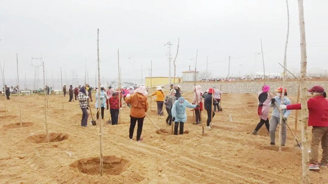 参展企业介绍,参展种业博览会的公司