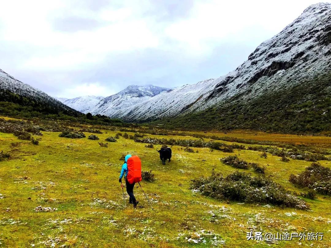 步步惊心的一天,步步惊心12剧情