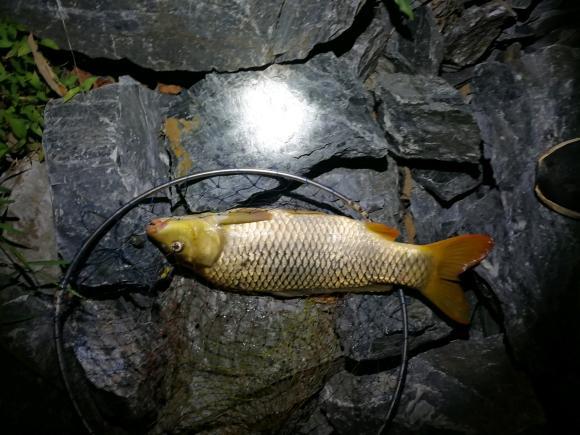 钓鱼为什么容易着迷,钓鱼为何会上瘾