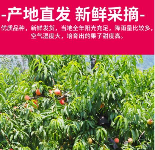 四五月应季水果口感好还便宜,6月的什么水果是当季水果