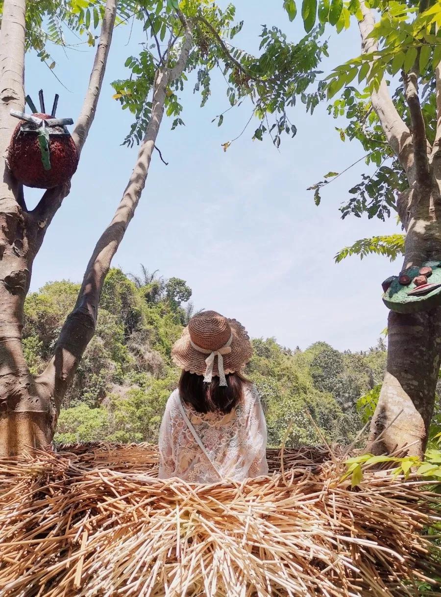 巴厘岛旅游必打卡,巴厘岛六天五晚游