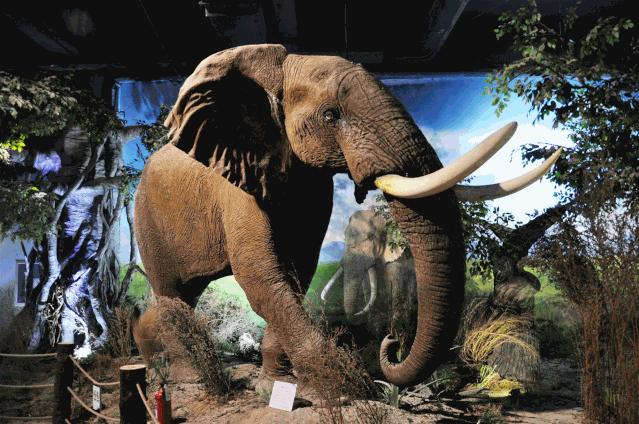 青岛西海岸新区啤酒节门票,33届西海岸啤酒节一日游