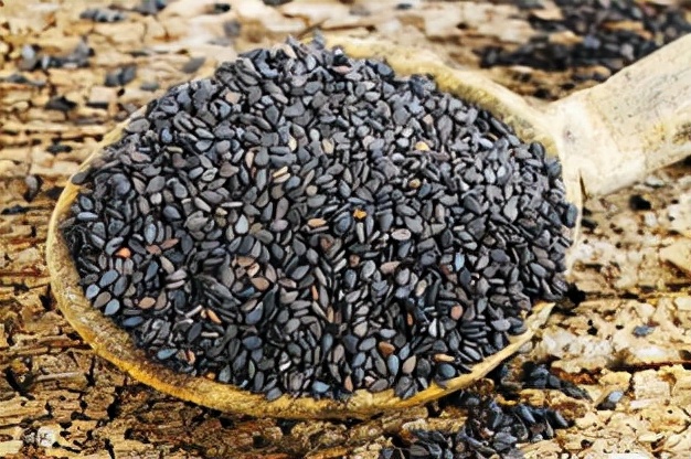 “发量过少、白发增多”，该怎么办？注意以下几点或可得到改善