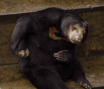 三岁的孩子皮肤干痒起皮怎么回事,皮肤干燥皮肤痒是什么原因引起的