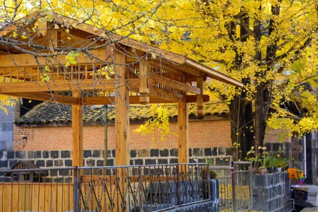 腾冲县地图在云南的哪个位置,腾冲边境地图