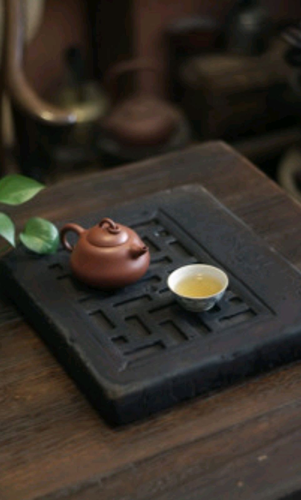 不虚度光阴不辜负年华的散文,感叹年华老去的散文