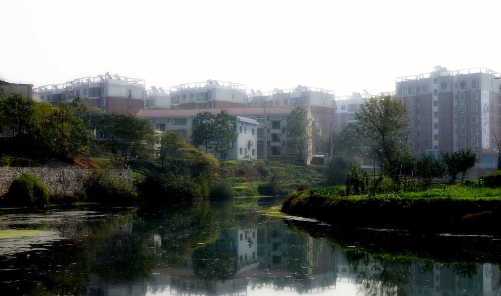 爸爸，愿您健康快乐，愿您寿比南山——祝寿感语！