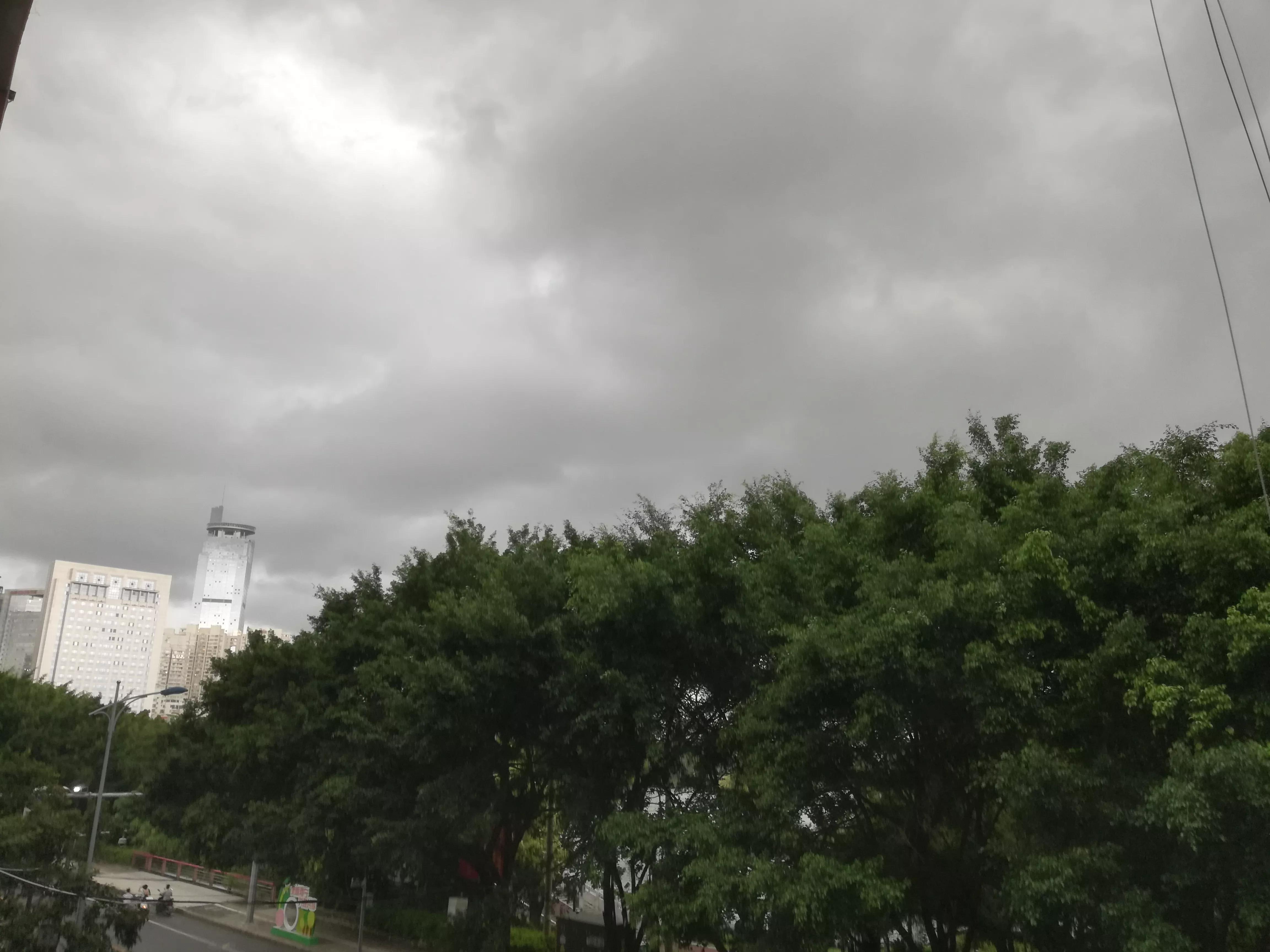 桂花香秋天的味道,南宁青秀山桂花盛开