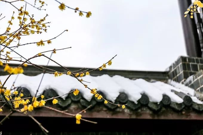 合肥肥东人文古迹,安徽合肥肥东值得一游的地方