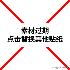 大花浓香四季开花的月季有哪些,黑紫色的月季花有哪些