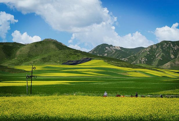 八月下旬去青海合适吗,8月去青海适合吗