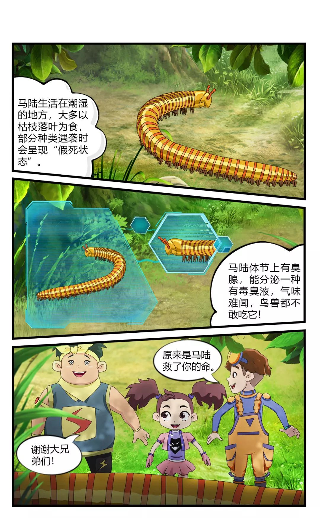 为什么鸟兽不爱吃马陆?