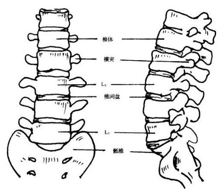 鹿晗易烊千玺,鹿晗易烊千玺街舞