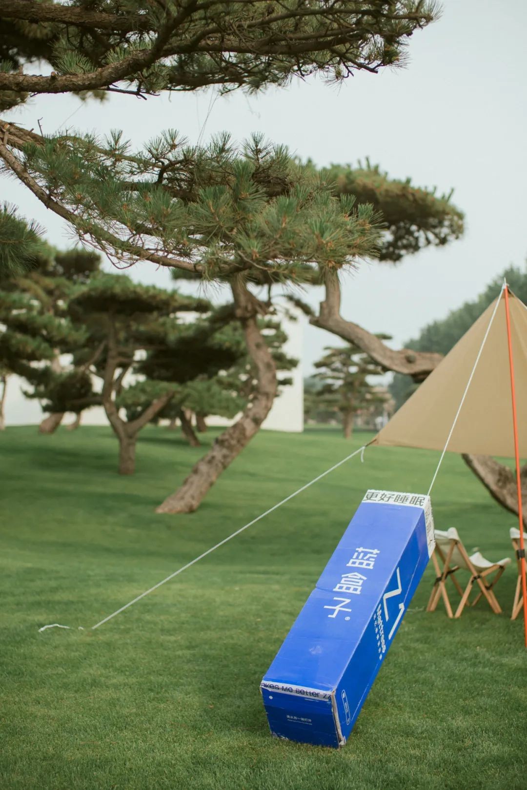 使用寿命最长的床垫弹簧,床垫的使用寿命一般是多少