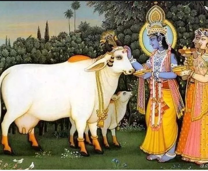 印度的牛粪饼多少钱一盒,印度的牛粪饼在中国也有卖吗