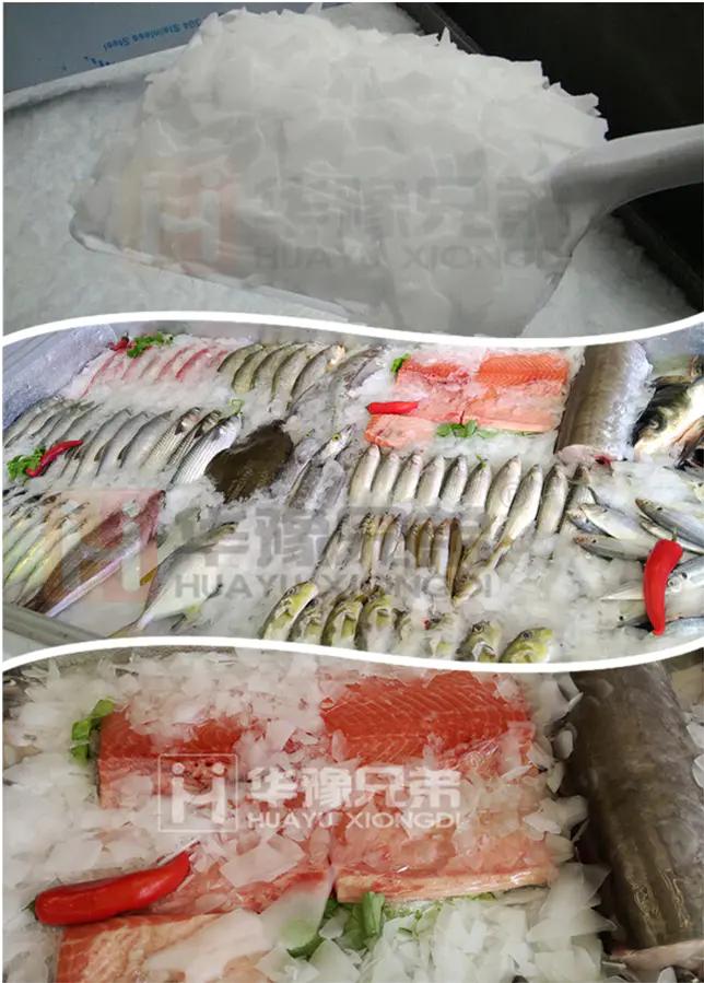 2000公斤片冰机厂家,50吨片冰机厂家