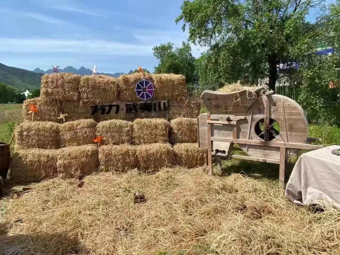 以文化引领促乡村振兴,万力武夷山康养旅游基地