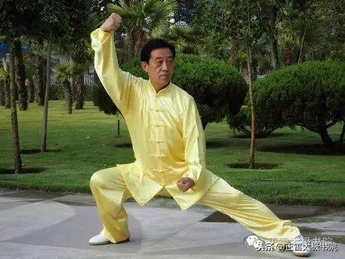 陈正雷太极拳培训,太极名家陈正雷先生讲授太极拳